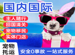 高崎机场空运国际宠物托运 【国